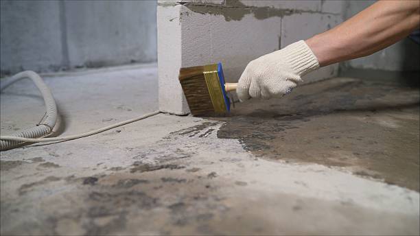 24/7 Emergency Wet Basement Repair experts in Whitewater, WI